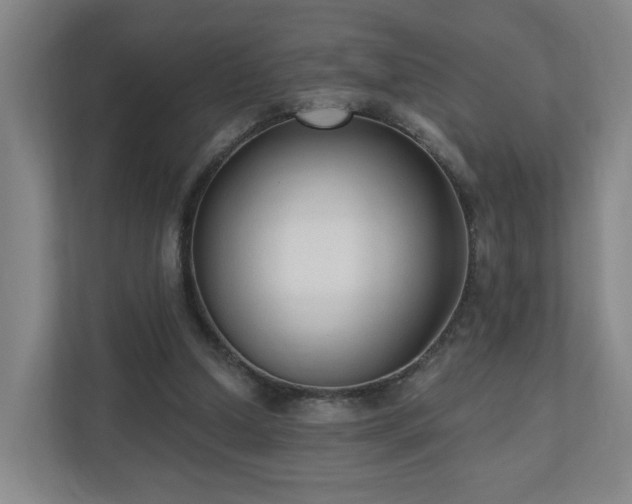 X0000110940250200906191236