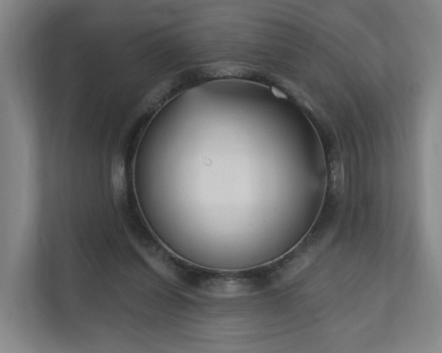 X0000110940254200906191236