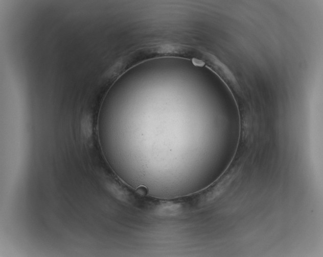 X0000110940257200906191236