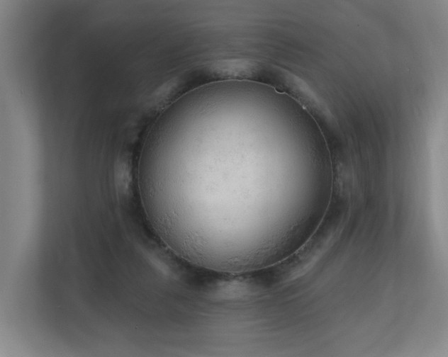 X0000110940259200906191236