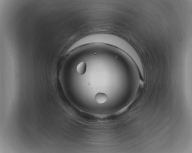 X0000110940260200906191236