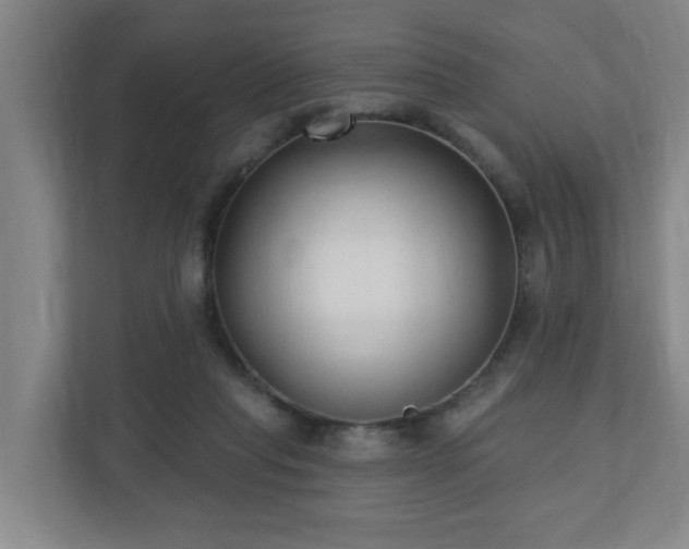 X0000110940261200906191236