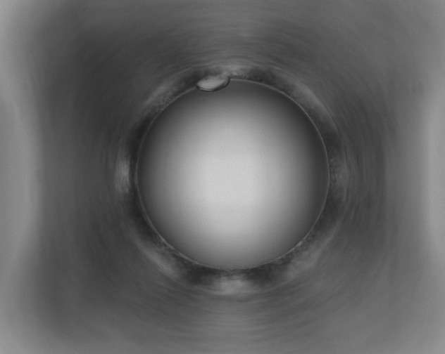 X0000110940262200906191236