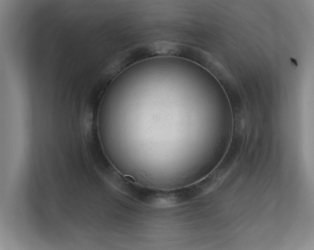 X0000110940263200906191236