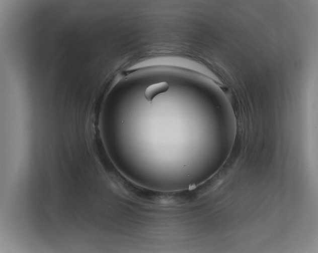 X0000110940264200906191236