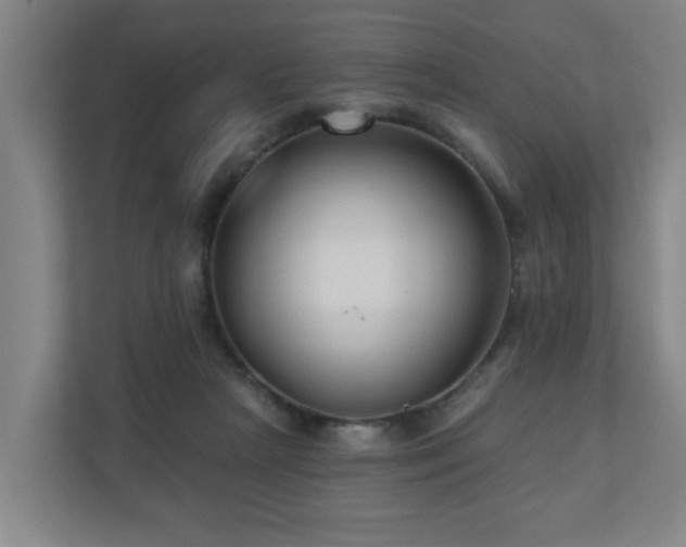 X0000110940265200906191236