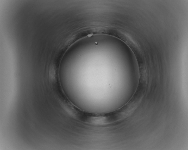 X0000110940266200906191236