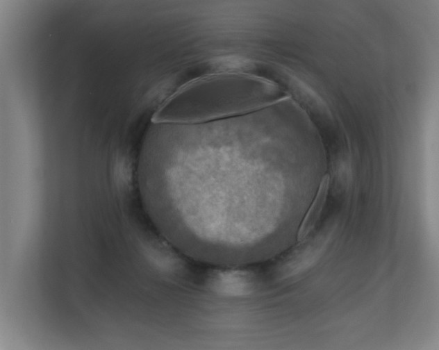 X0000110940268200906191236