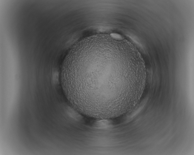 X0000110940269200906191236