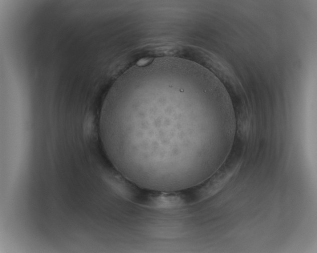 X0000110940270200906191236