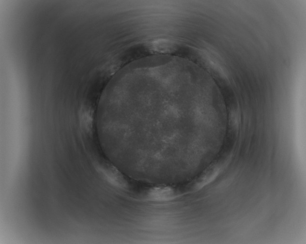 X0000110940271200906191236