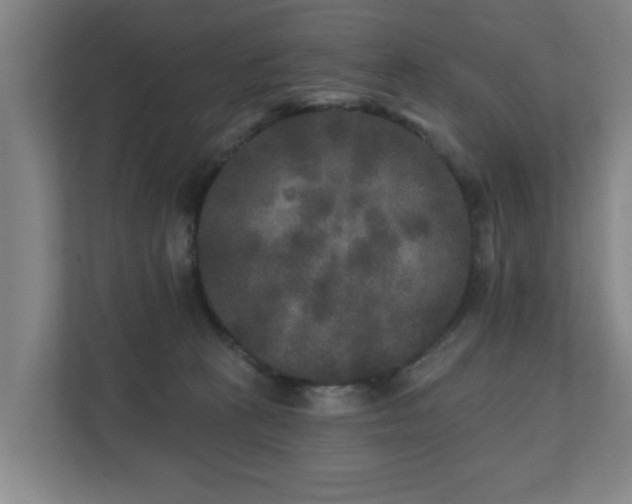 X0000110940273200906191236