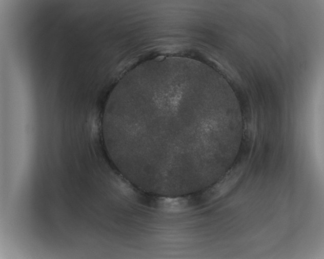 X0000110940277200906191236