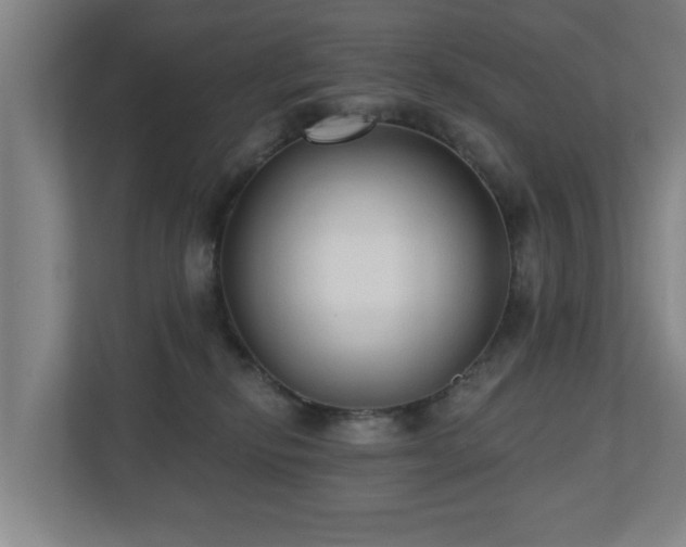 X0000110940278200906191237