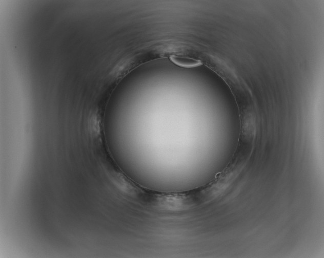 X0000110940282200906191237