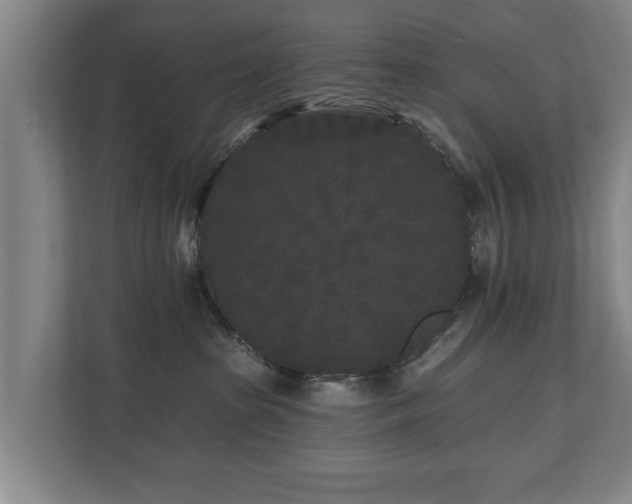 X0000110940285200906191237