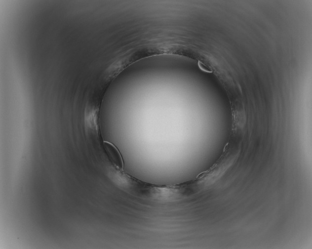 X0000110940286200906191237