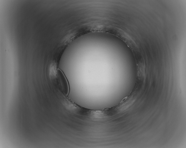 X0000110940287200906191237