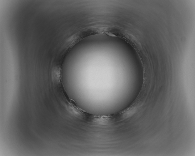 X0000110940288200906191237