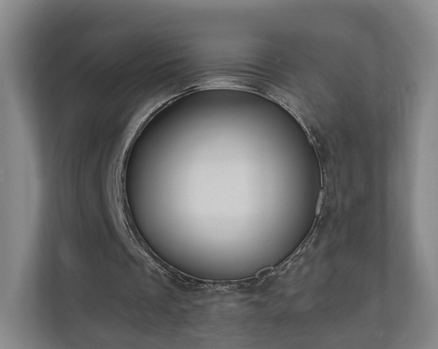 X0000110940289200906191236