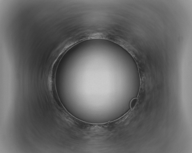 X0000110940290200906191236