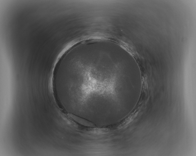 X0000110940292200906191236