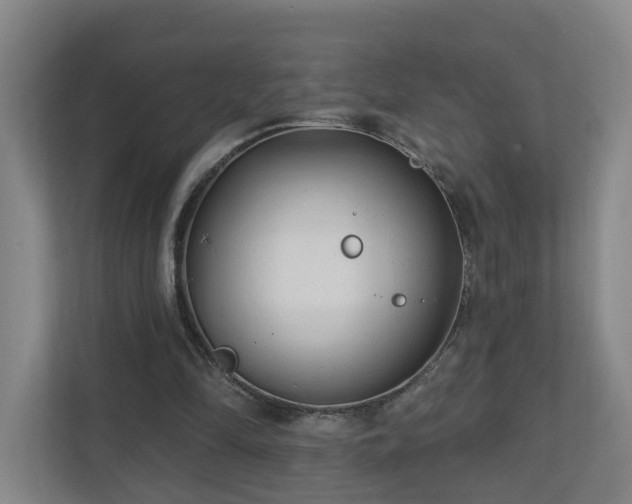 X0000110940294200906191236