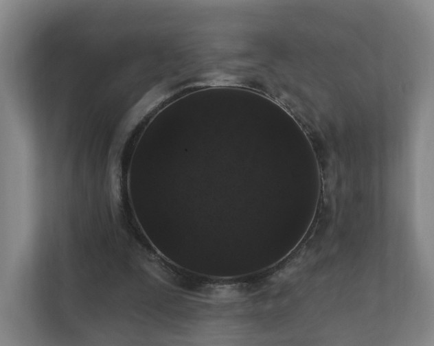 X0000110940295200906191236