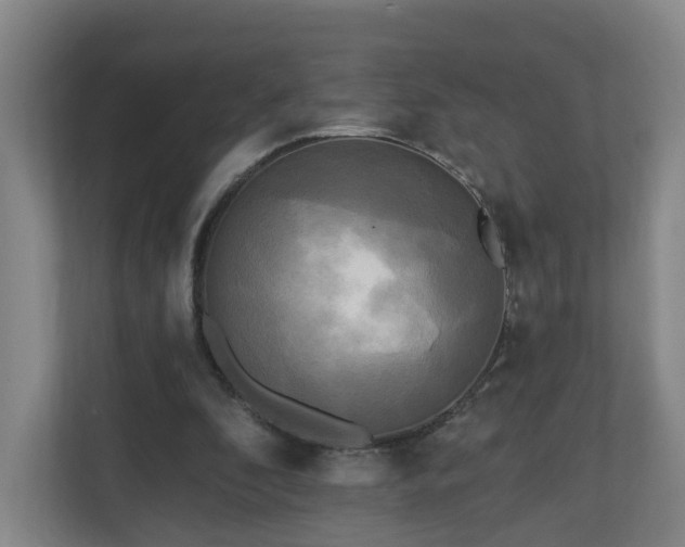 X0000110940296200906191236