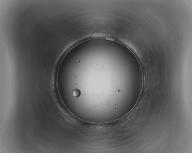 X0000110940297200906191236