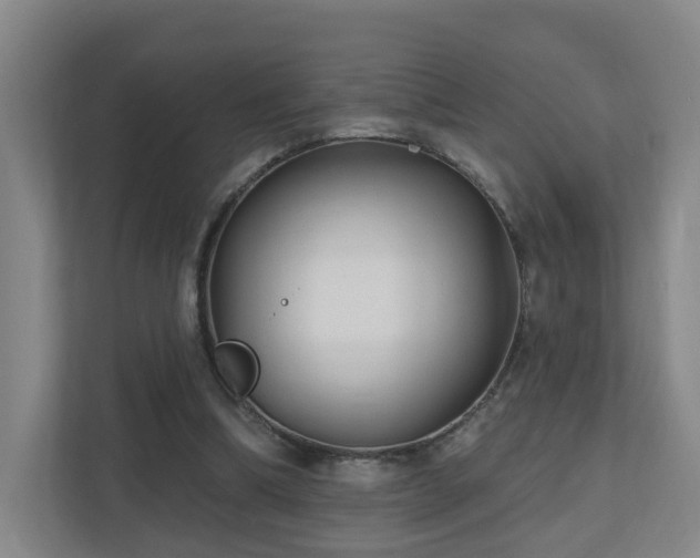 X0000110940298200906191236