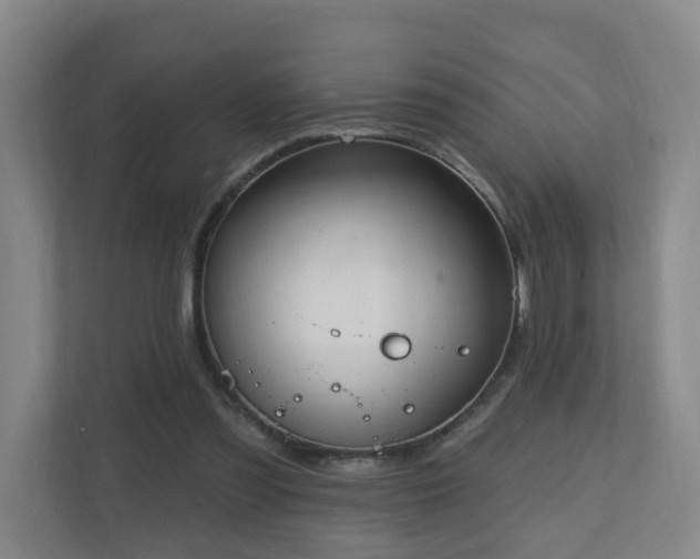 X0000110940301200906191236