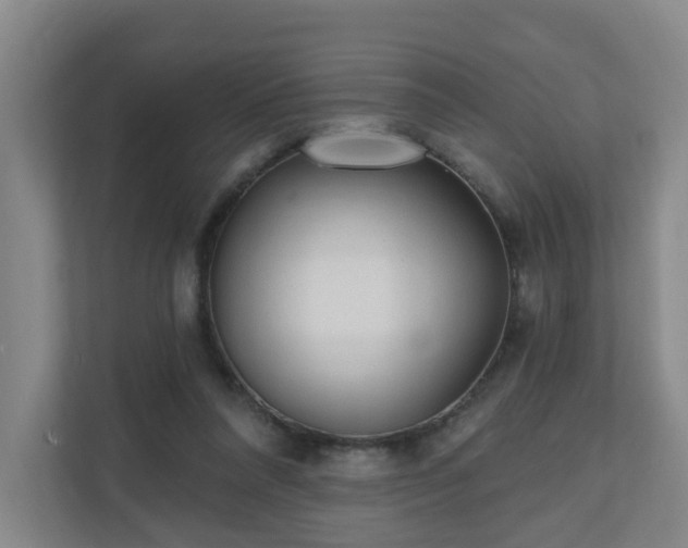 X0000110940304200906191236