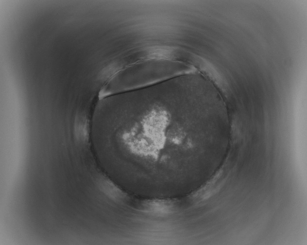 X0000110940305200906191236