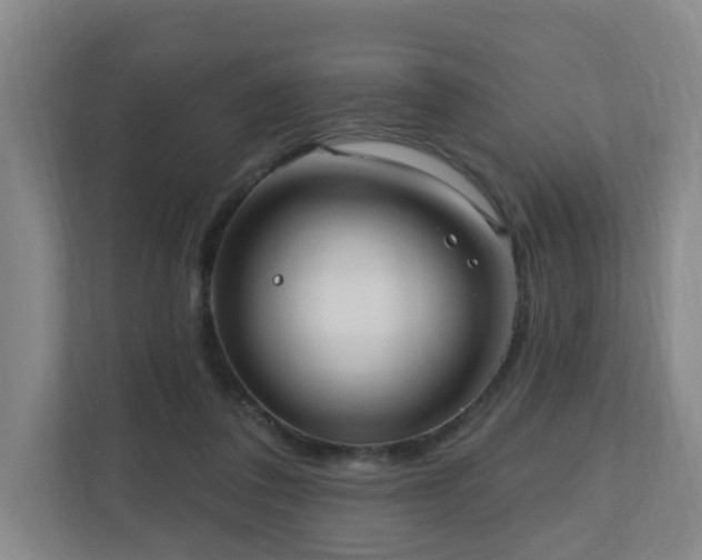 X0000110940308200906191236