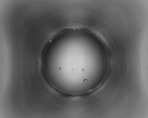 X0000110940309200906191236