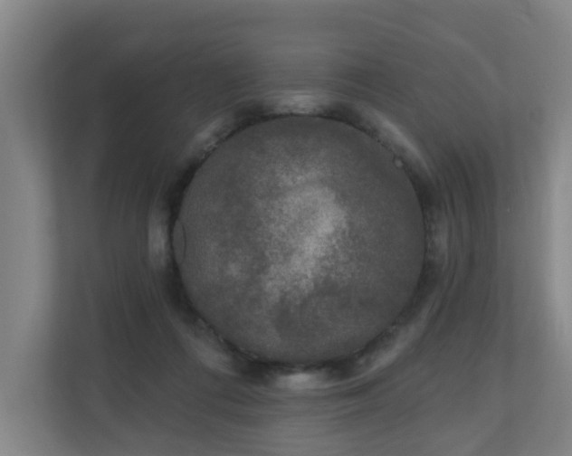 X0000110940312200906191236