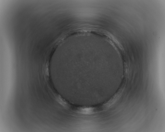 X0000110940313200906191236