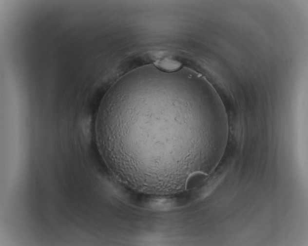 X0000110940319200906191236