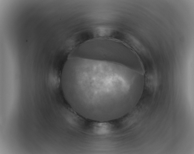 X0000110940324200906191236