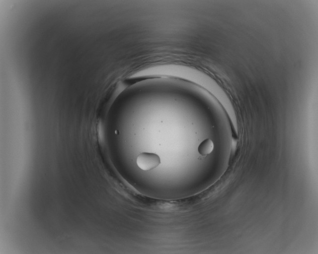 X0000110940325200906191236