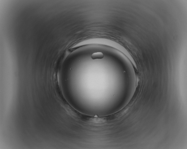 X0000110940327200906191236