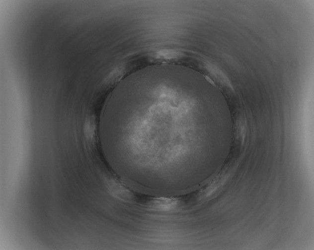 X0000110940328200906191236