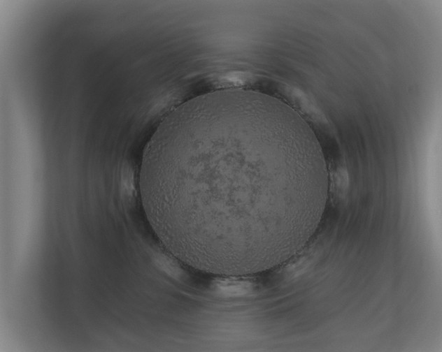 X0000110940331200906191235