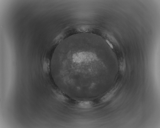 X0000110940332200906191235