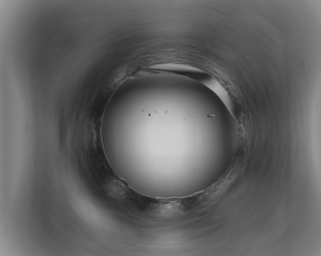 X0000110940333200906191235