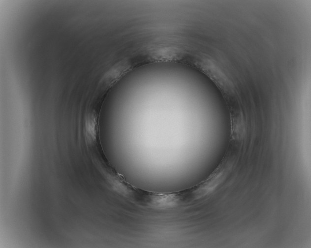 X0000110940334200906191235