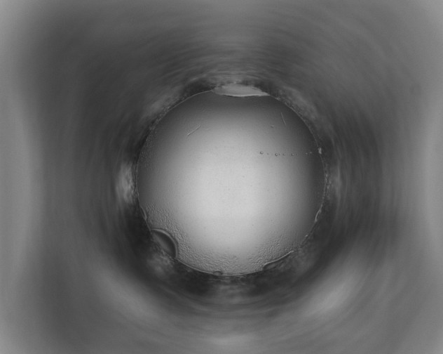 X0000110940335200906191235