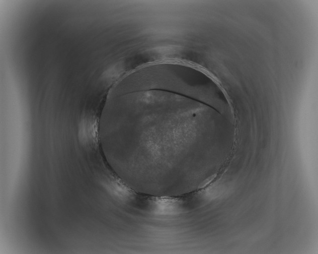 X0000110940336200906191235