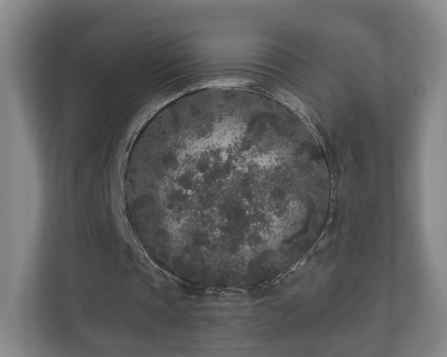 X0000110940337200906191235